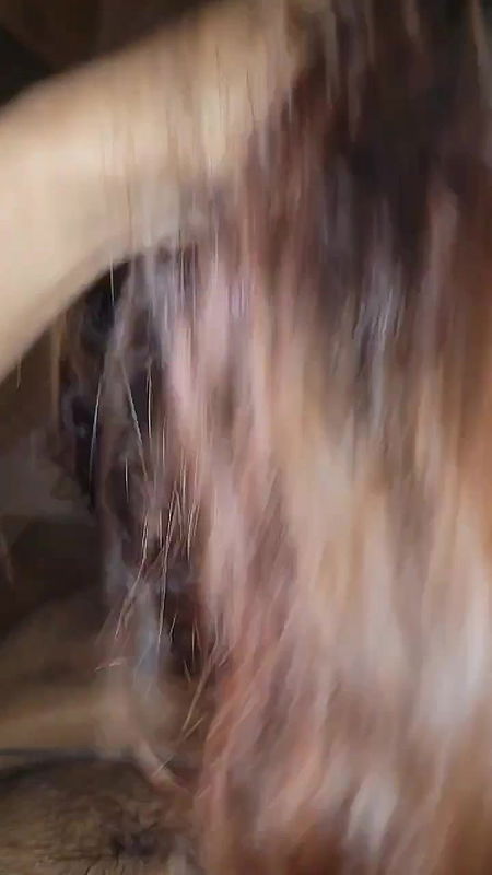 Horny Indian Babe Giving Blowjob To Boyfriend 1