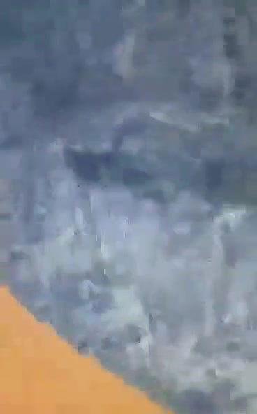 BF Ne GF Ki Virgin Pussy Ki Seal Todi