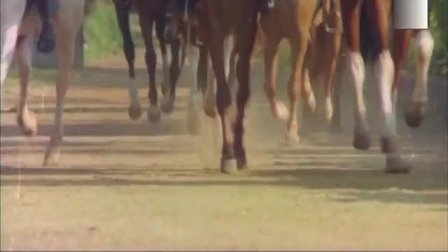 Horse Power Hot Scene