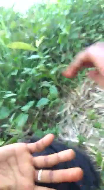 Dehati Randi getting fucked by her young client