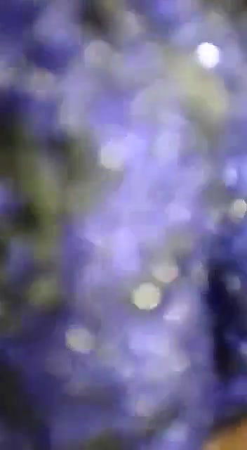 Village Girl Ko Jaldi Se Kapde Utaro