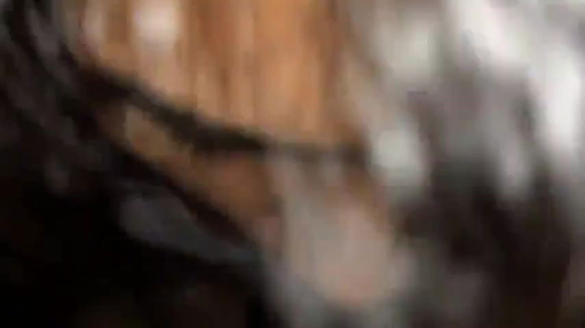 Desi Bhabhi Blowjob with Devar MMS