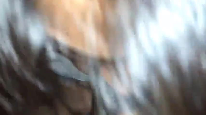 Desi Bhabhi Blowjob with Devar MMS