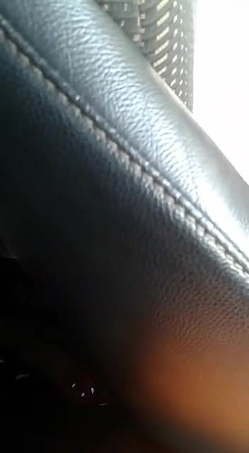 Naughty Desi Bhabhi showing boobs to her driver