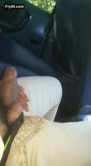 Inside car lover fun