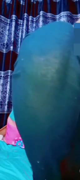 Desi Beautiful Horny Girl Masturbating