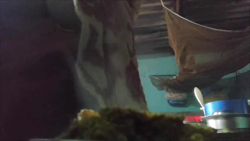 MP4 20260126 172611VLOG