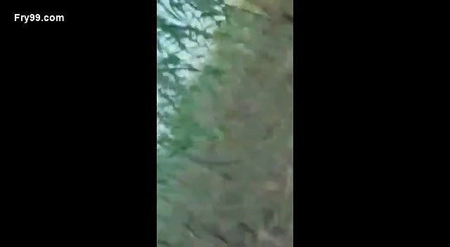 Pathani Girl Fucking in Khet Total 3 Videos