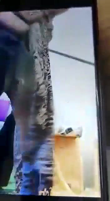 bhabhi fucked after pussy licking