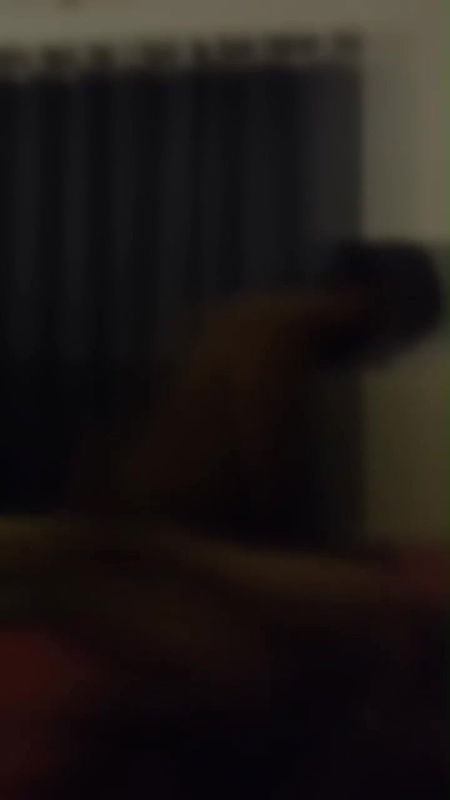 MOV 17694141078446161