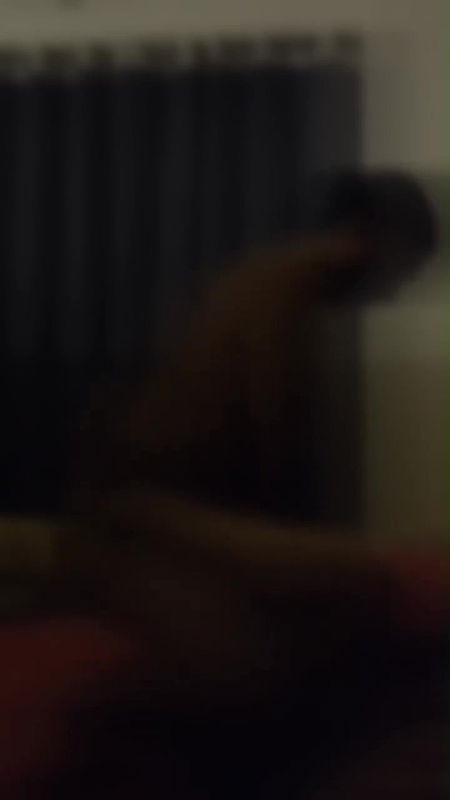 MOV 17694141078446161