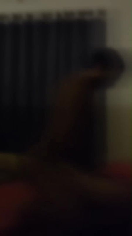 MOV 17694141078446161