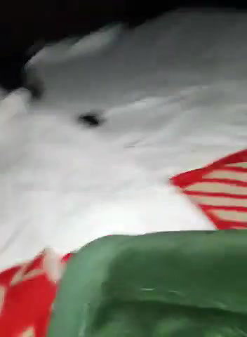 Delhi Wali Gf Lund Ke Upar Kudti Hui