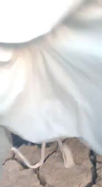 desi randi fucking in desert