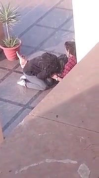 desi university girl caught sucking dick outdoor