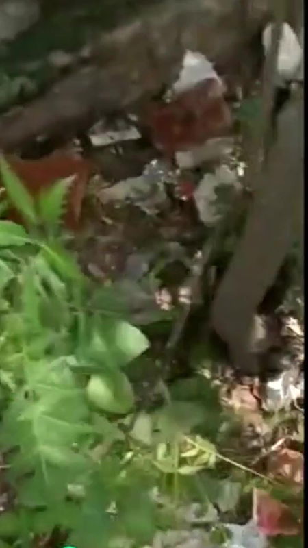 desi young boy fucking randi