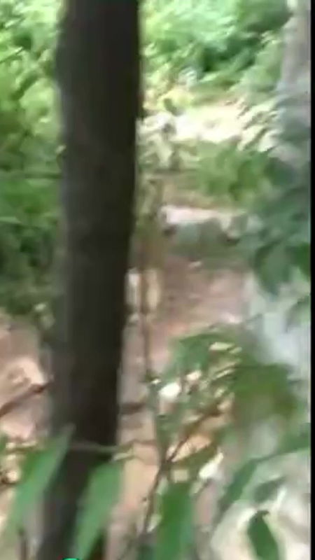 desi young boy fucking randi