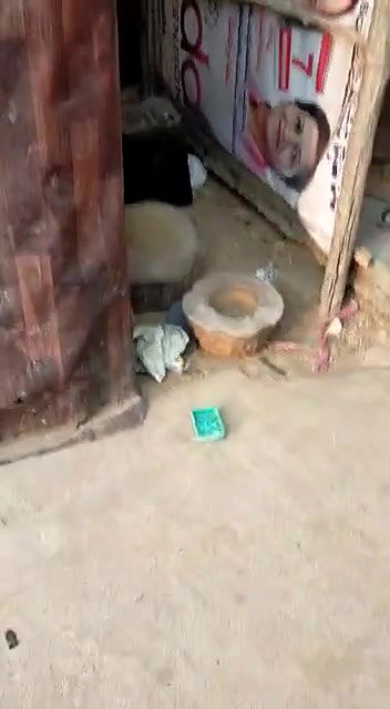 Indian couple caught fucking