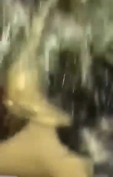 Busty girl licking asshole video MMS