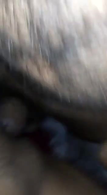 Hardcore Bangla sex video