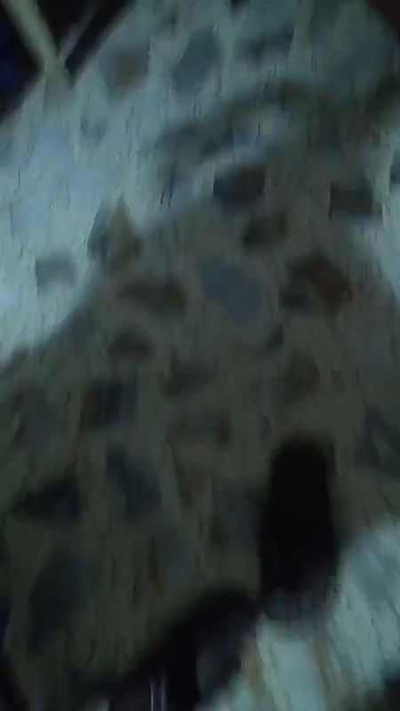 MOM COLL311769751078006