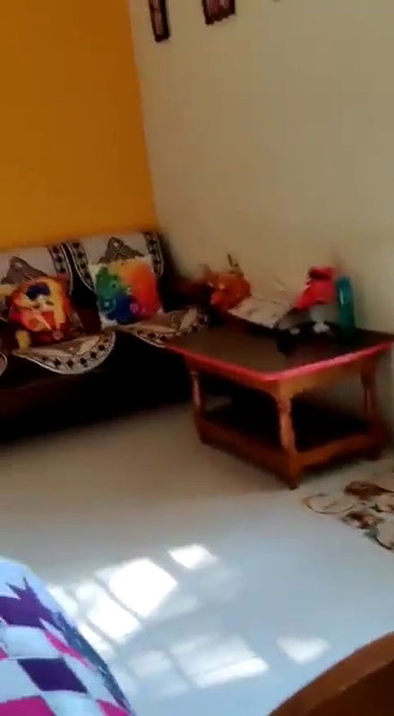 MOM COLL581769751078006