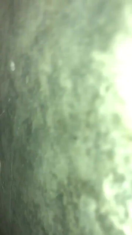 MOM COLL801769751078006