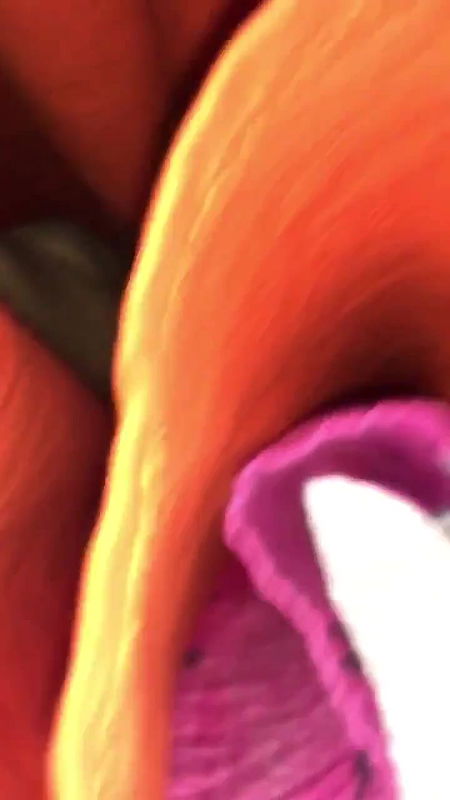 MOM COLL801769751078006