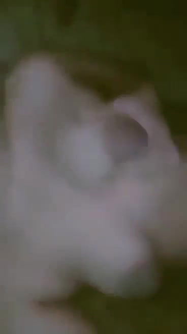 big black nipple girl boobs show