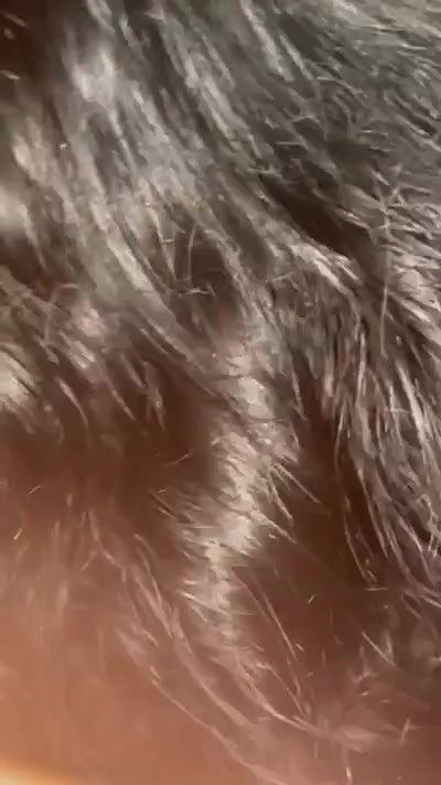 cute girl cock suck to boyfriend