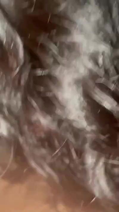 cute girl cock suck to boyfriend