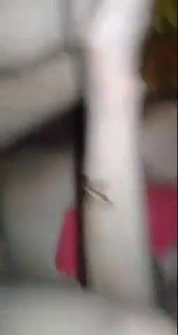 Chote Bhai Ki Wife Ko Pura Nanga Kar Ke Uska Bur Chod Diya Aur Video Banaya