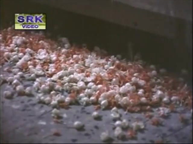 Mallu Preethi Compilation