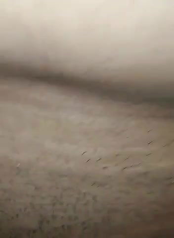 shy desi chubby girl fucked