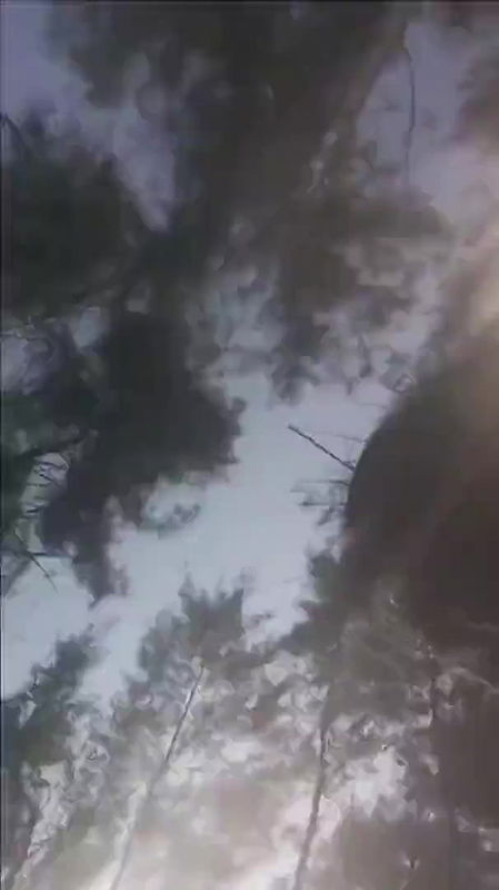 dehati couple outdoor sex