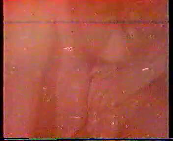 Mallu Spicy Bits 3 (Minu Mohan Clip)