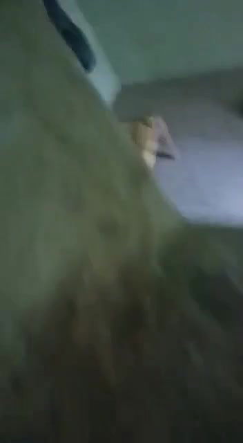 couple caught having sex