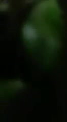 khule mein chudai