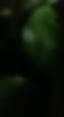 khule mein chudai