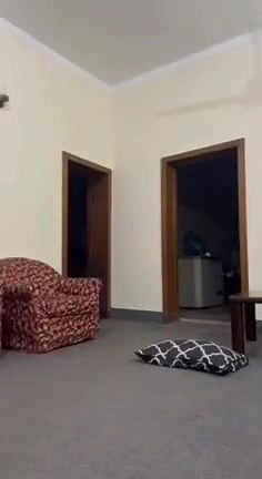 couple 69 position fun