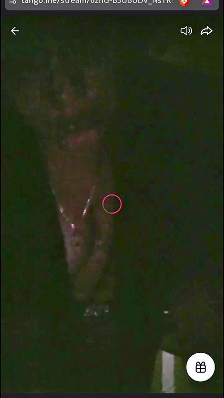 Telugu Anu Tango Bikini public live