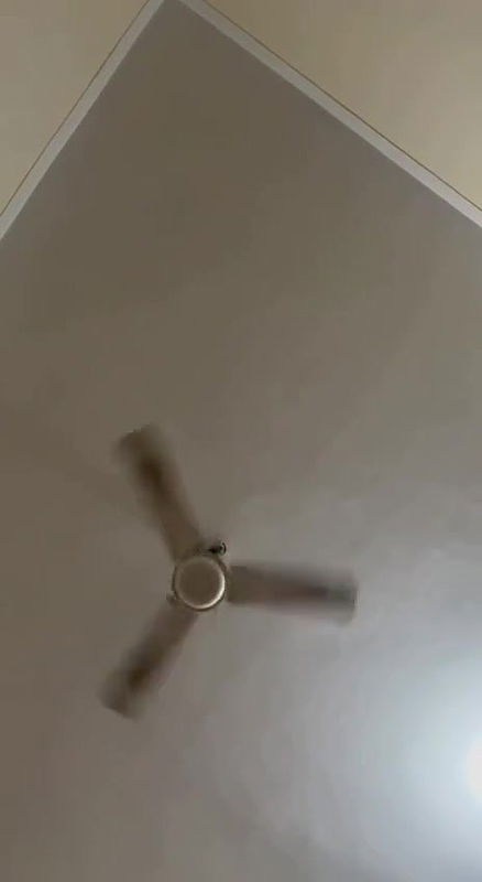 beautiful horny wife boobs sucking