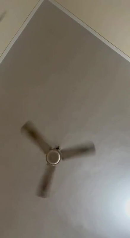 beautiful horny wife boobs sucking