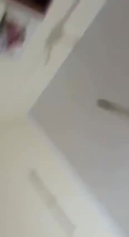 beautiful horny wife boobs sucking