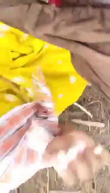 blowjob to young boy in forest