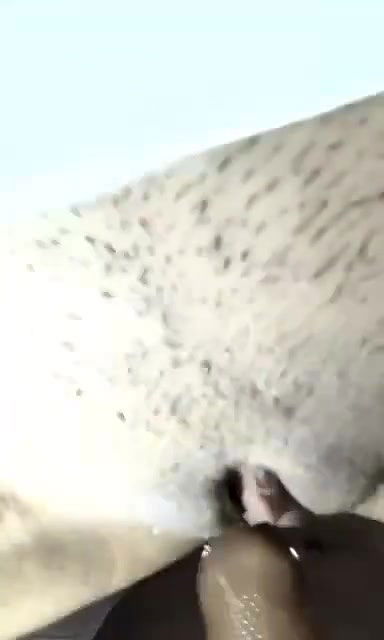 cute gf fucked hard by bf in doggy