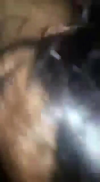 Amateur Indian dick sucking MMS video