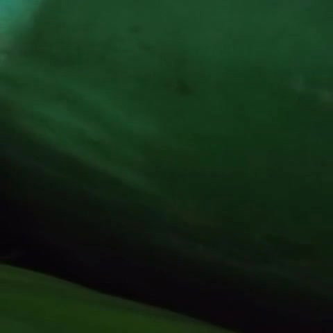 slim dusky gf fucked