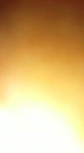 lovers sex in jungle