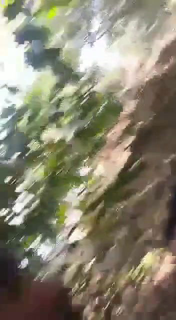 lovers sex in jungle